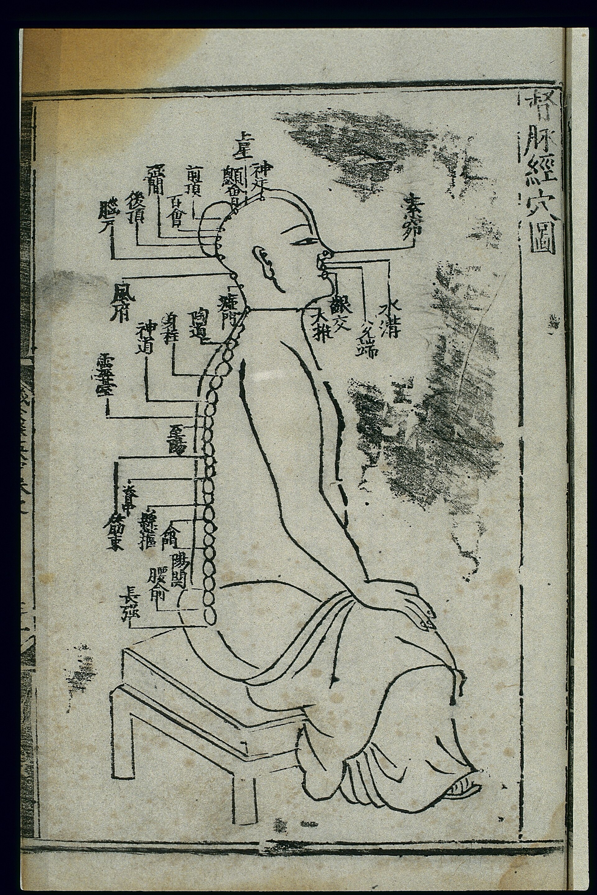 督脉
