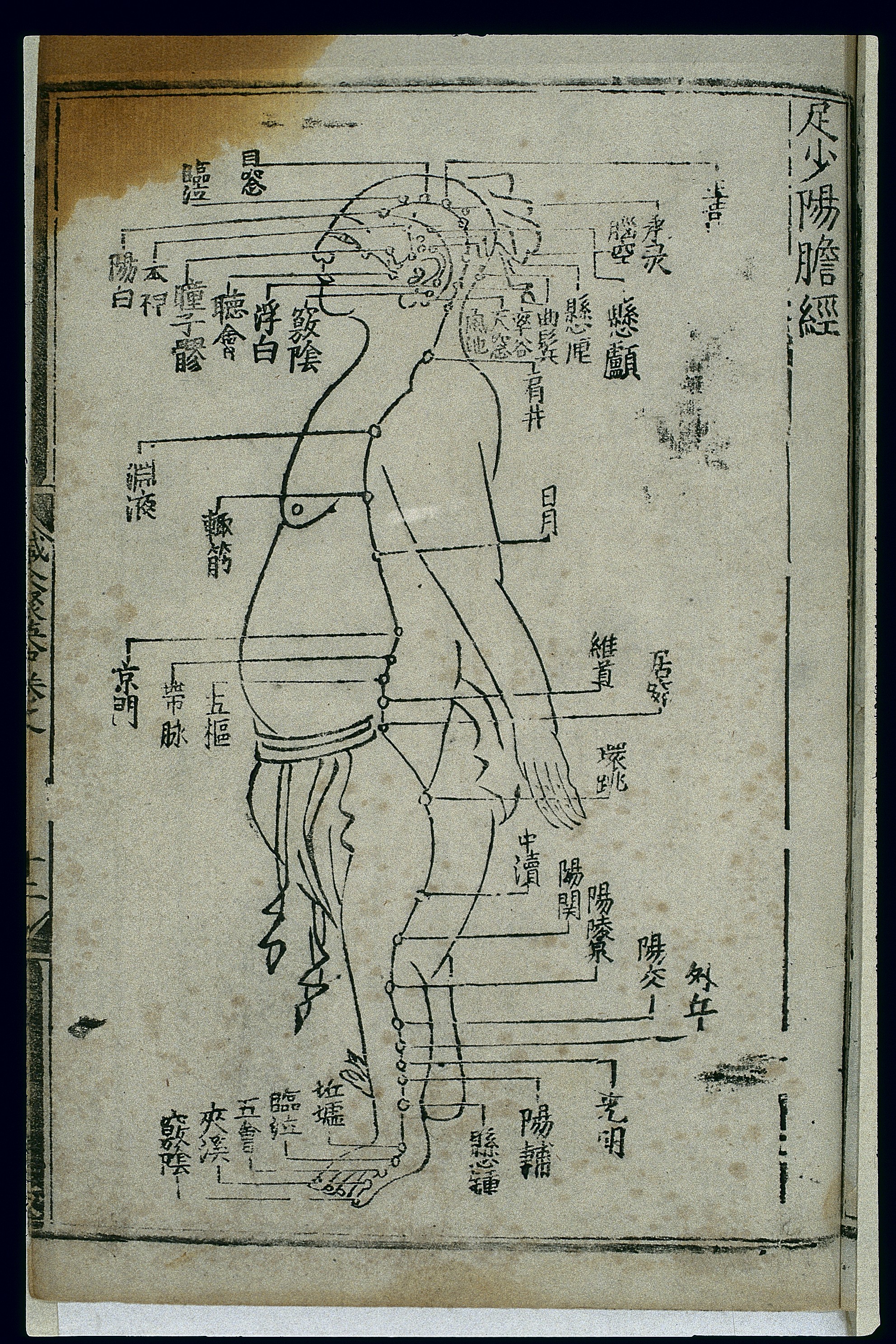 足少阳胆经