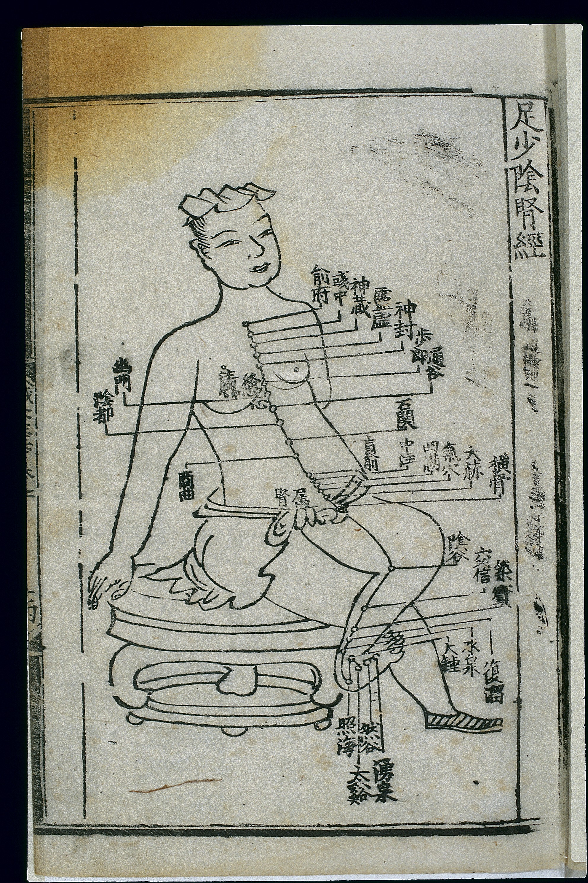 足少阴肾经