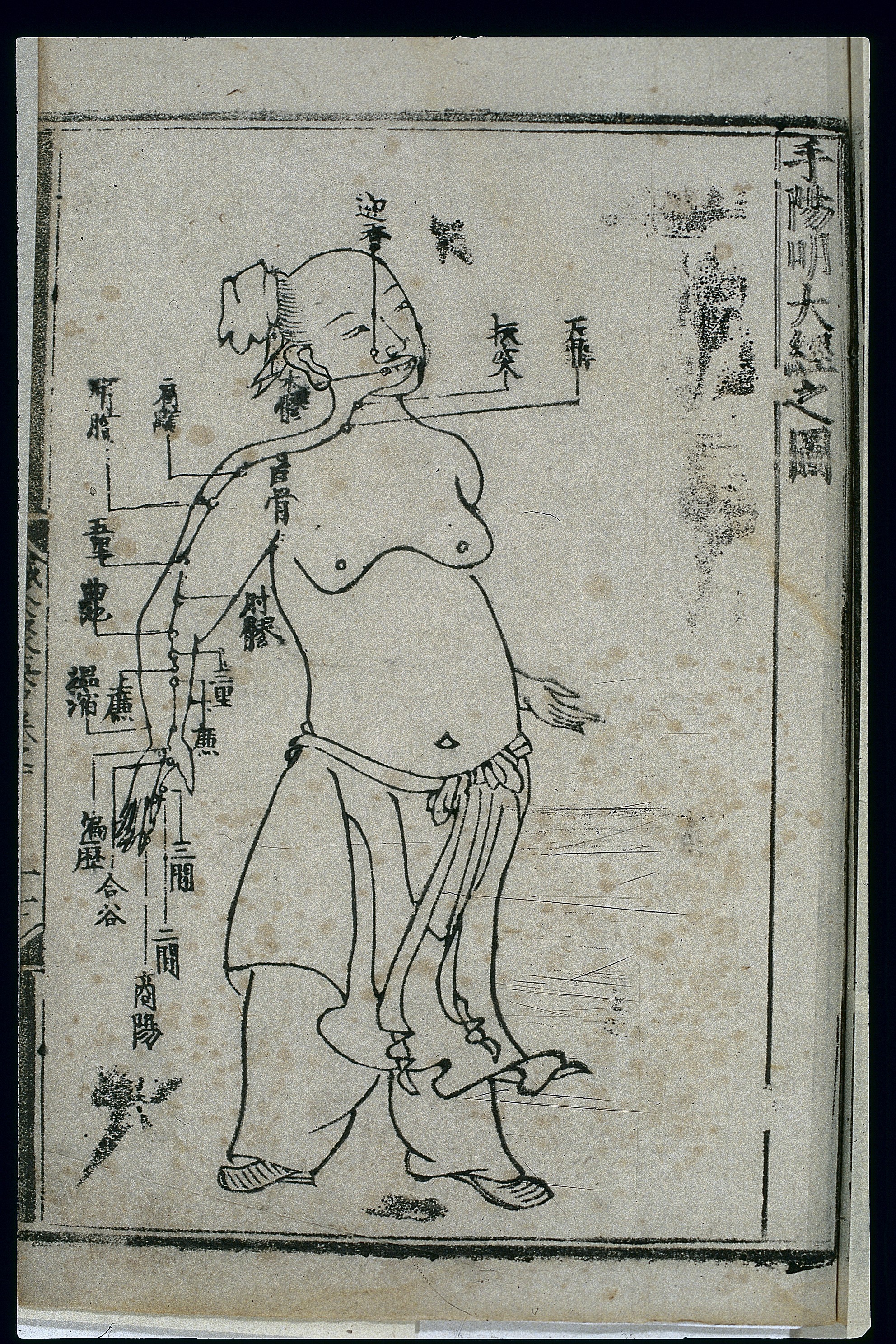 手阳明大肠经