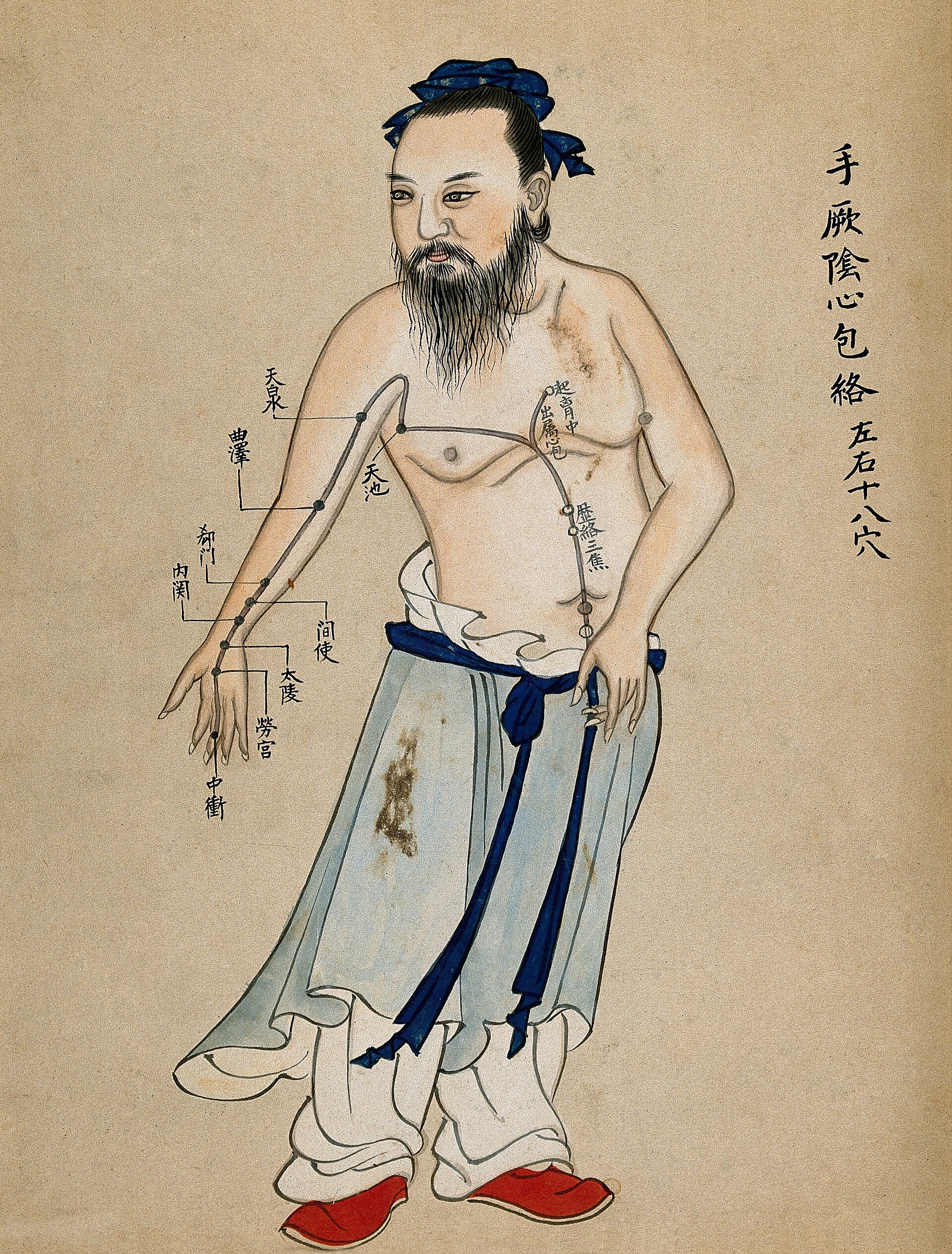 手厥阴心包经