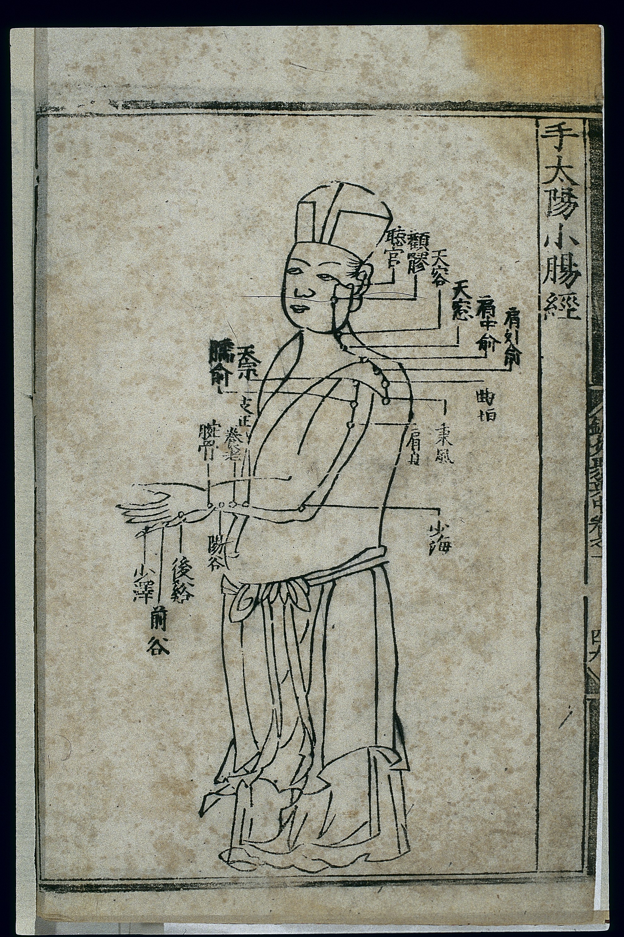 手太阳小肠经