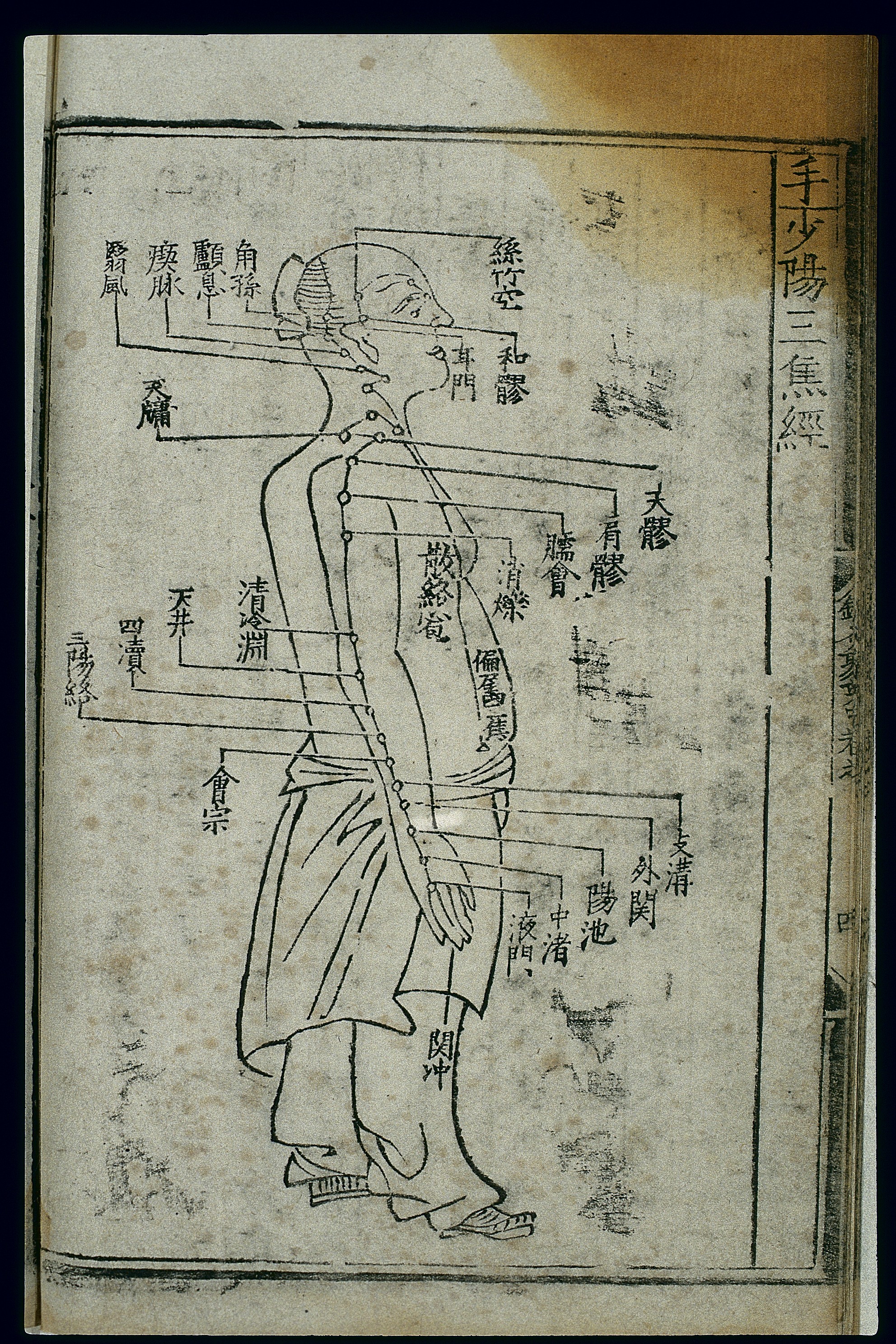 手少阳三焦经