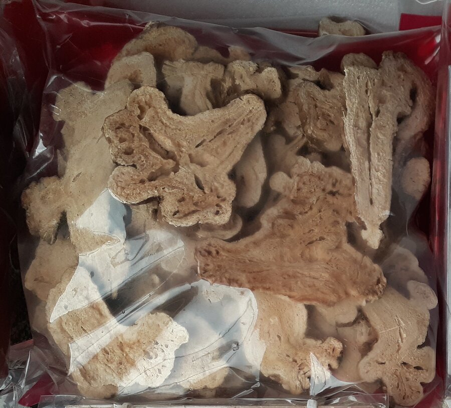 白术干燥根茎标本