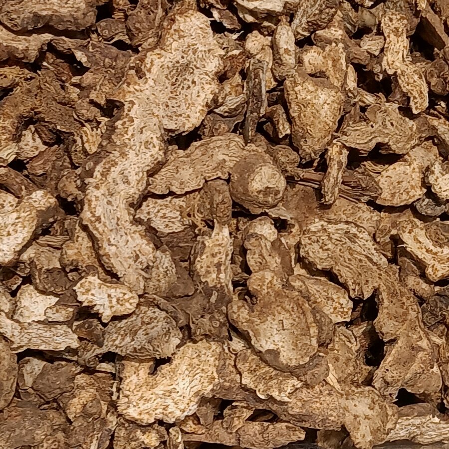 白术炮制切片