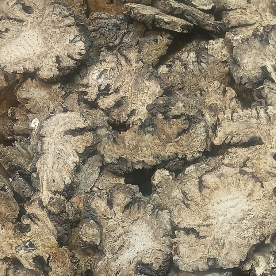 川芎切片特写