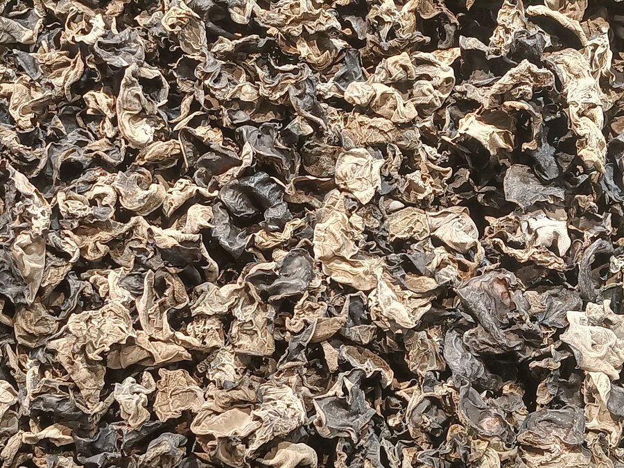 散装干制黑木耳实物特写