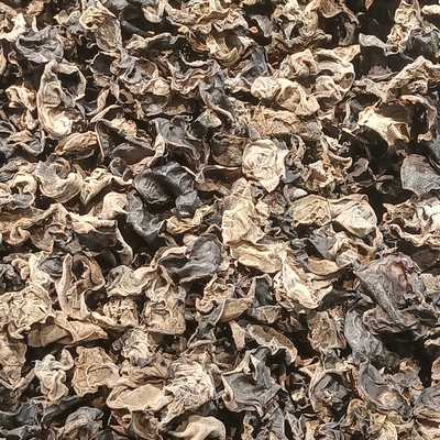 木耳