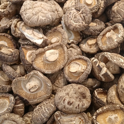 香菇